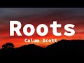 Roots - Calum Scott (lyrics)