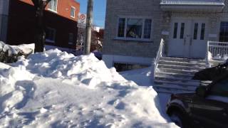 Le matin après la tempête de neige