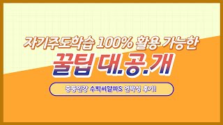 자기주도학습 100% 활용 꿀팁 궁금하면 드루와~ (수박씨알파S 언박싱 후기도 함께!)