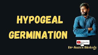 What is Hypogeal Germination