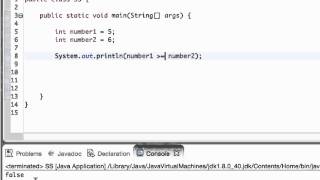 Relational Operators and Boolean Variables in Java