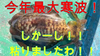 還暦元気おやじのアオリイカ釣りチャレンジ　VOL50