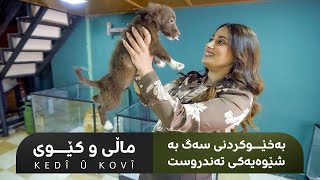 KEDÎ Û KOVÎ | ماڵی و کێوی- بەخێوکردنی سەگ بە شێوەیەکی تەبدروست