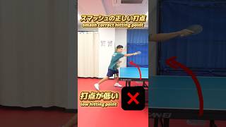 スマッシュの正しい打点で打つ方法✅🔥#shorts #卓球 #tabletennis #pingpong