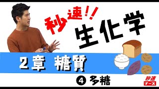 【秒速ナース】2-4多糖【生化学-授業動画】