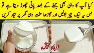 mitha dahi jamane ka tarika | دہی جماتےوقت صرف ایک چمچ یہ چیزڈالیں اورکمال دیکھیں/how to make dahi