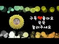 신비아파트 각색동화 커플송 금도끼 은도끼편 강림 하리 이안 가은 리온 희원 신비 금비 커플송