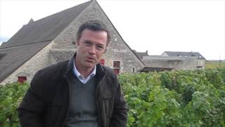 The Burgundy Briefing: Jacques Devauges at Clos de Tart.