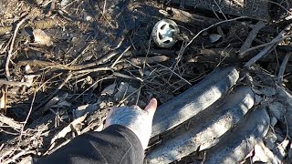 Unclogging Badly Clogged Culvert - Beaver Dam Removal Makes White Water Rapids !