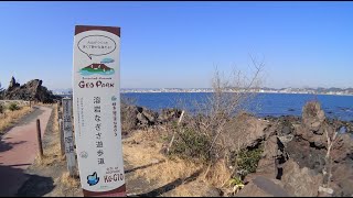 【桜島ダイビング】桜島袴腰ビーチダイビング　鹿児島の海　鹿児島のダイビング　桜島　鹿児島市