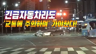 5023회. 경찰차는 신호에 상관없이 막 가도 된다?