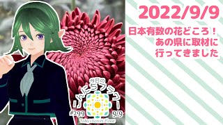 【ただいま】日本有数の花どころ・あの県に取材にいってきました【花市場のお花紹介】