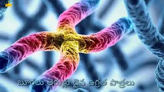 vinuma o lokama oh sangama sidhapadumaa.../Jesus songs telugu 💚💙💚🙏../