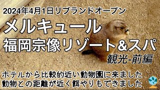 【メルキュール福岡宗像リゾート\u0026スパ 観光-前編】ホテルから比較的近い、ふれあい動物園に行って来ました。放し飼いにしてる動物が多く、無料の餌やりも楽しめましたよ。入場料も500円とリーズナブルでした。