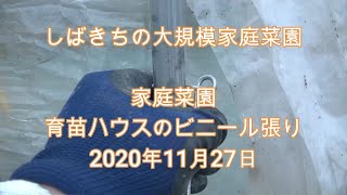 家庭菜園 育苗ハウスのビニール張り 2020年11月27日