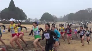 千葉クロカン2015　一般女子8km