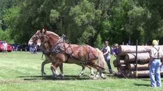 Cheboygan County: The Great Up North