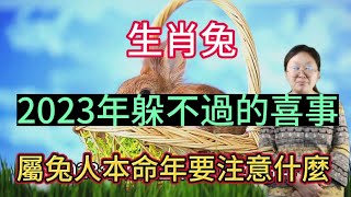 【本命年的生肖兔】在2023癸卯年有哪些躲不過的喜事？癸卯年生肖兔本命年需要注意些什麼？本期視頻講述生肖兔在本命年躲不過的喜事！屬兔人在癸卯兔年需要注意的事項？#运势 #2023 #生肖 #生肖運勢