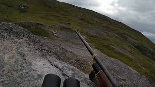 Muskox hunting ( Kangerlussuaq )