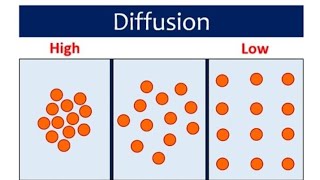 Diffusion: Real life examples explained!