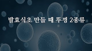 발효식초 만들때 꼭 필요한 뚜껑 2종류 황세란박사의 유인균 스토리중에서