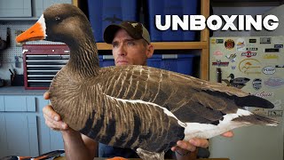 Unboxing   Econo Specklebelly Series Real-Geese Decoys