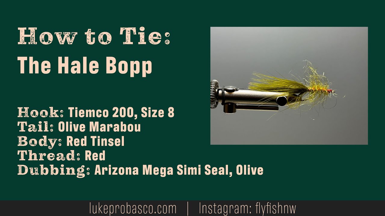 How To Tie: Hale Bopp Leech Fly Pattern - YouTube