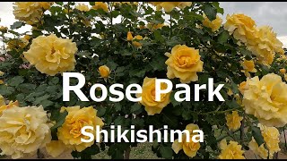 敷島公園ばら園 Rose Park 2023