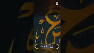 Janam Fidaye Umar - Hafiz Tahir Qadri - Status Video