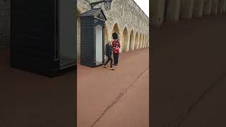 Windsor Castle guard yells at tourist!