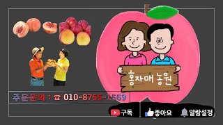 2023.02,18. 농부 생각