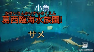 葛西臨海水族園