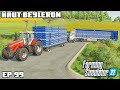 THIS IS IT! SWEET SUCCESS | Farming Simulator 22 - Haut-Beyleron | Episode 99