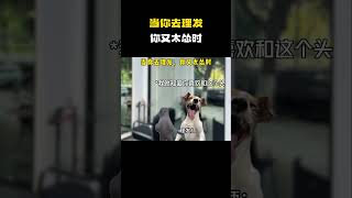 当你去理发，你又太怂时#猫meme #内容过于真实 #funny