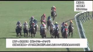 2015年11月29日東京競馬制裁事象