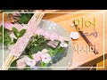 민어 사시미 정성 가득한 한접시. (ニベ, croaker sashimi)