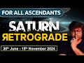 For All Ascendants | Saturn Retrograde | 30th June - 15th November 2024 by Punneit