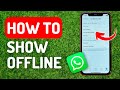 How to Show Offline in Whatsapp - Full Guide