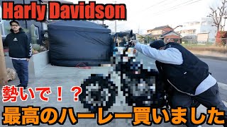 【ハーレー】は勢いで買え！? ハーレー乗りはやっぱりアホでした。Harley Davidson