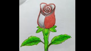 How to draw rose. drawing for biginner. Rose drawing step by step.