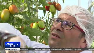 Tunisia launches hydroponics project to boost farming