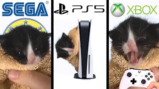 Kitten Meows but game console startups