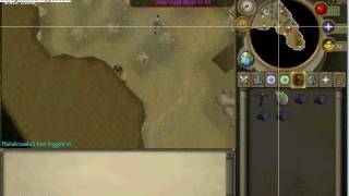 rsbot problem