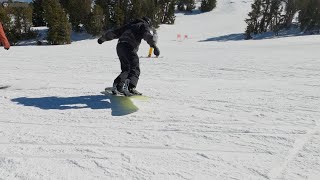 Burton 3D Daily Driver 2021 Snowboard Review