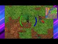 tibia caminho brimstone bug