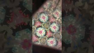 Kitten kaleidoscope