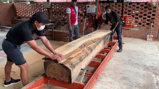 A new Wood-Mizer LT15 Start cutting extreme hardwood in Malaysia