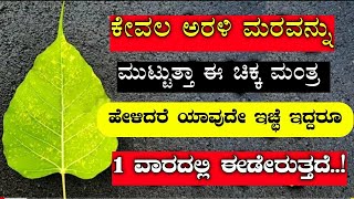 ಅರಳಿ ಮರದ ಬಳಿ ಹೋಗಿ ಹೀಗೆ ಮಾಡಿದರೆ ಅಂದುಕೊಂಡ ಕೆಲಸ ಆಗುತ್ತದೆ || peepal tree benefits || divinekannada