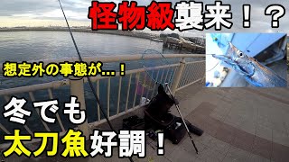 【神奈川県横浜市】2021年東京湾冬の太刀魚調査！12月下旬、ここ最近太刀魚の釣果が好調らしい横浜市南部あたりの釣り場で釣りしてみたら怪物級が襲来し想定外の事態に…！【2021.12.23】