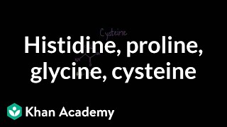 Special cases: Histidine, proline, glycine, cysteine | MCAT | Khan Academy